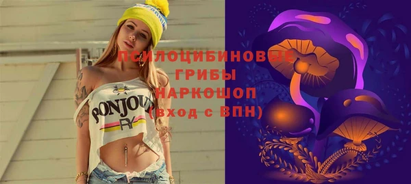Альфа ПВП Верхний Тагил