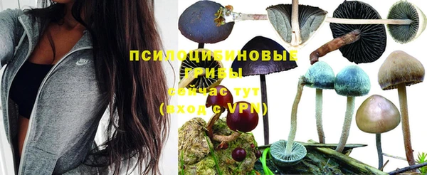 прущие крисы Верхнеуральск